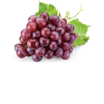 Grape's Grape Group
