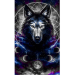 The wolf galaxy