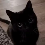ṕurr