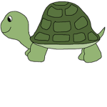 The Iron Turtles