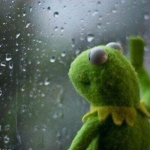kermit de frog fan club