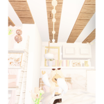 The Koala club Official