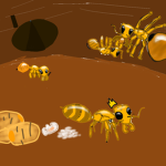 The empire of the Honeypot ants
