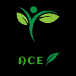 Acesgroup