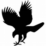 BlackHawk Special Operations Unit