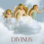 Divina Cameraderie