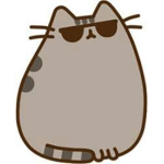 the kitty kitty productions