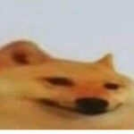 Cositakawai