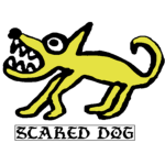 scared dog bodyshop