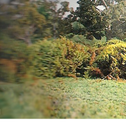 𝕋𝕠𝕘𝕖𝕥𝕙𝕖𝕣 icon