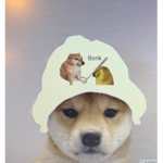 Tripppyy