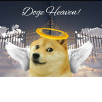 Doge Heaven!