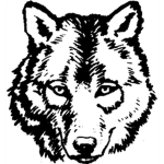 The Sword Fighting Wolf Pack