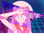 a e s t h e t i c z o n e