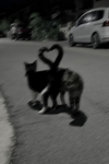 TherianSpot