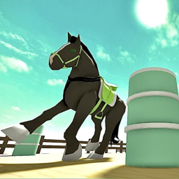 Midnight Stars Riding Academy