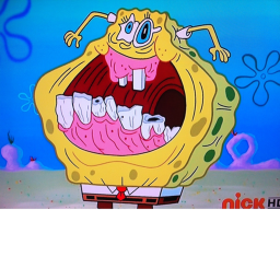 sponge boy the cool