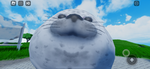 pet forever team