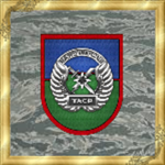 -SOCOM / AFSOC- Tactical Air Control Party