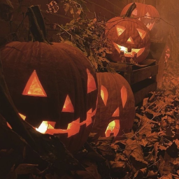 ˗ˏˋ ꒰ 🎃 ꒱ ˎˊ˗