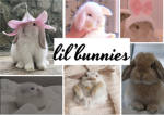 lil'bunnies