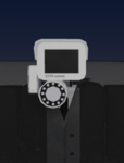 Toilet Desolation Roleplay