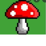 The fungi