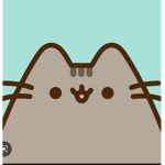 pusheen group!!!!!
