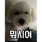 채영
