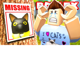 cat mystery