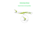 Greenwings Airways