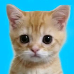 El gatos_the gods