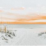 ~beachy bxbes~