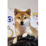 Dogwolfmaster