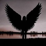 ANGELICCSS <3