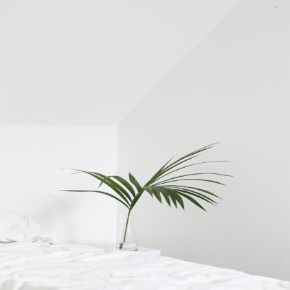 aesthetic plant Roblox decal