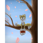 Tails Fans amd tails.exe