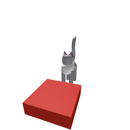 Gray&amp;White Cat