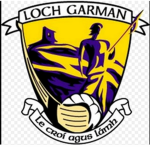 Wexford GAA Fan Club