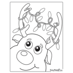 ppppgjb