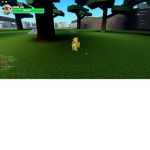 ROKA Simulator