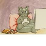kitties fans