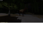 Costal Elk Herd