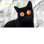 Cult of the panthers