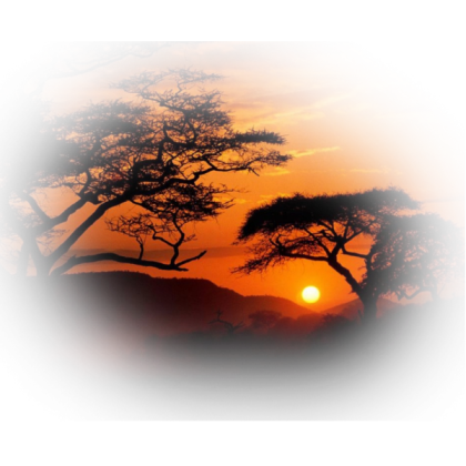 TB PNG Toto Africa Scenery  Roblox decal