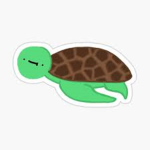 The Derpy Turtles