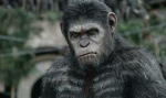 The Great, Awesome, and Powerful Monke Army