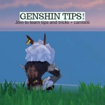 Gen shin TIPS
