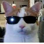 SKULLZŽ
