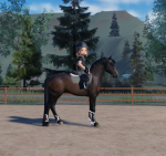 Cee and Bee Eventers